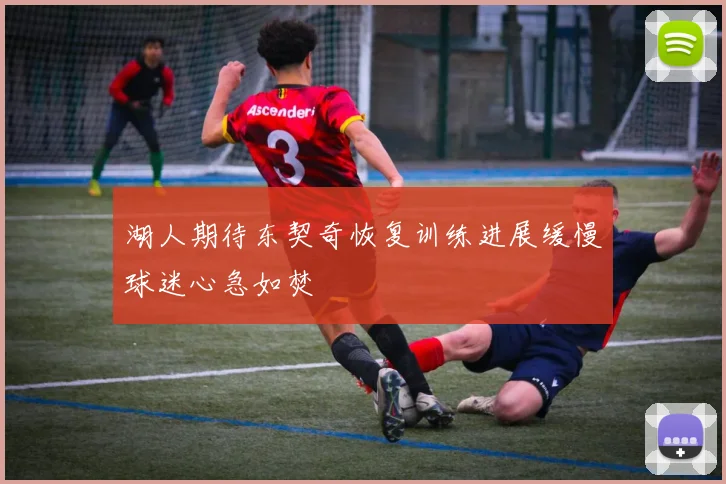湖人期待东契奇恢复训练进展缓慢球迷心急如焚