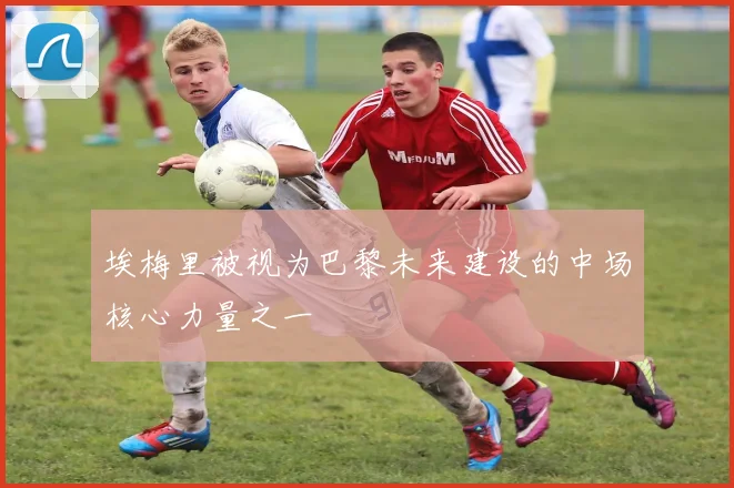 埃梅里被视为巴黎未来建设的中场核心力量之一