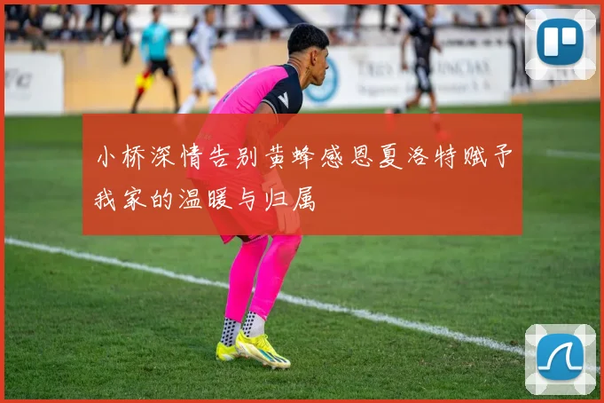 小桥深情告别黄蜂感恩夏洛特赋予我家的温暖与归属